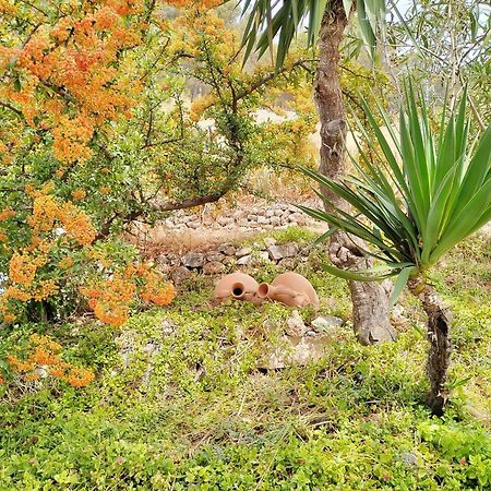 Pegalajar Cueva El Parralゲストハウス エクステリア 写真