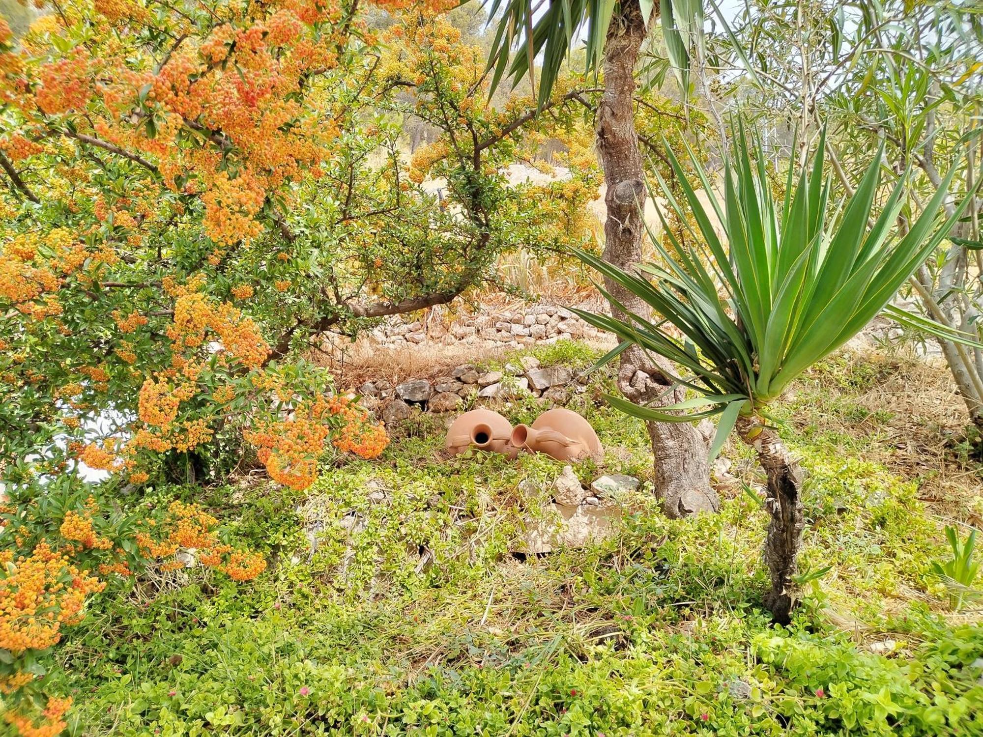 Pegalajar Cueva El Parralゲストハウス エクステリア 写真
